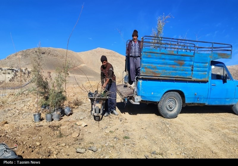 درخت‌کاری انبوه در شهرکرد آغاز شد + تصاویر