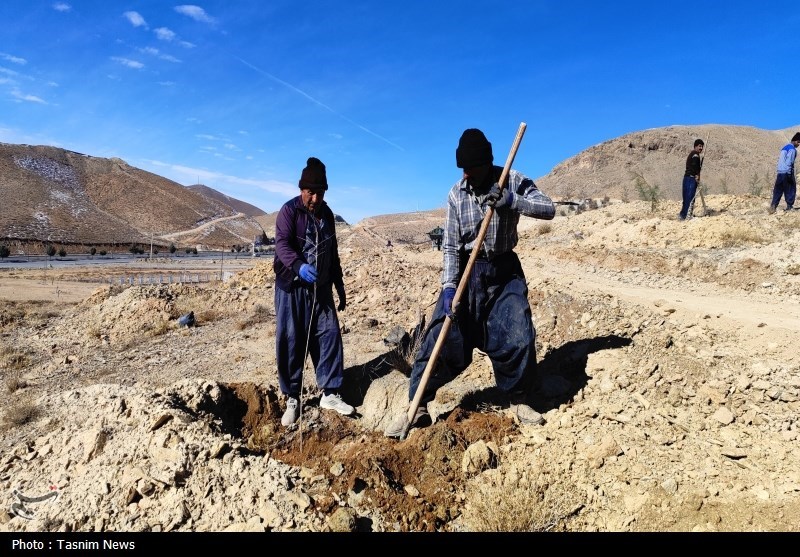 درخت‌کاری انبوه در شهرکرد آغاز شد + تصاویر
