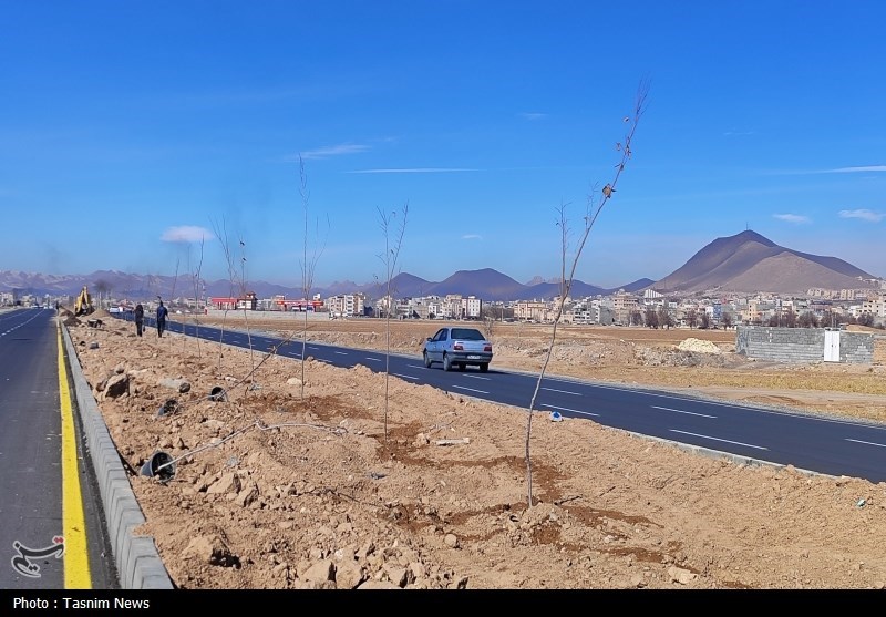 درخت‌کاری انبوه در شهرکرد آغاز شد + تصاویر