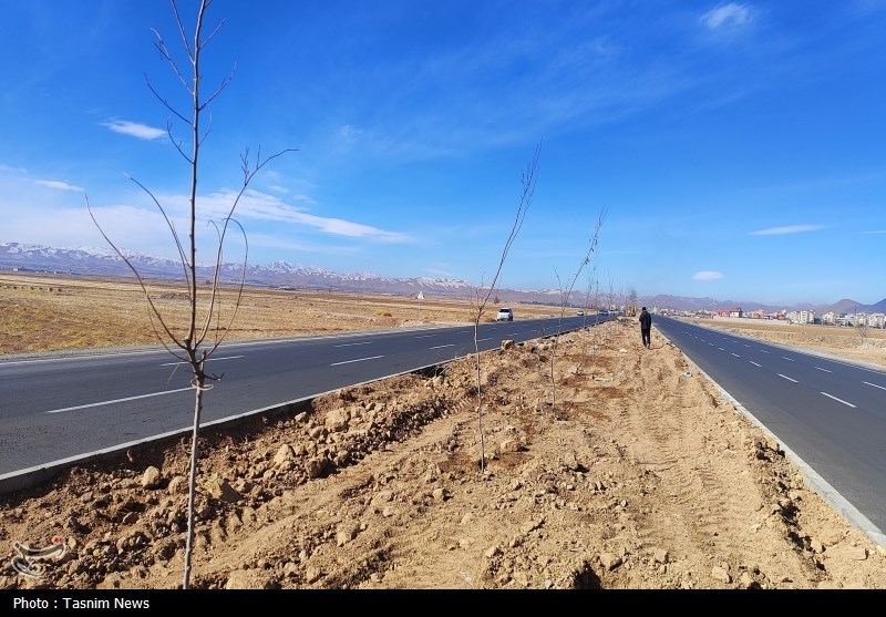 درخت‌کاری انبوه در شهرکرد آغاز شد + تصاویر