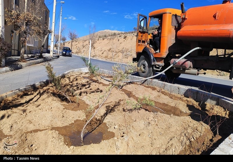 درخت‌کاری انبوه در شهرکرد آغاز شد + تصاویر