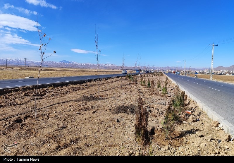 درخت‌کاری انبوه در شهرکرد آغاز شد + تصاویر