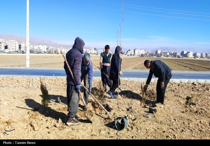 درخت‌کاری انبوه در شهرکرد آغاز شد + تصاویر