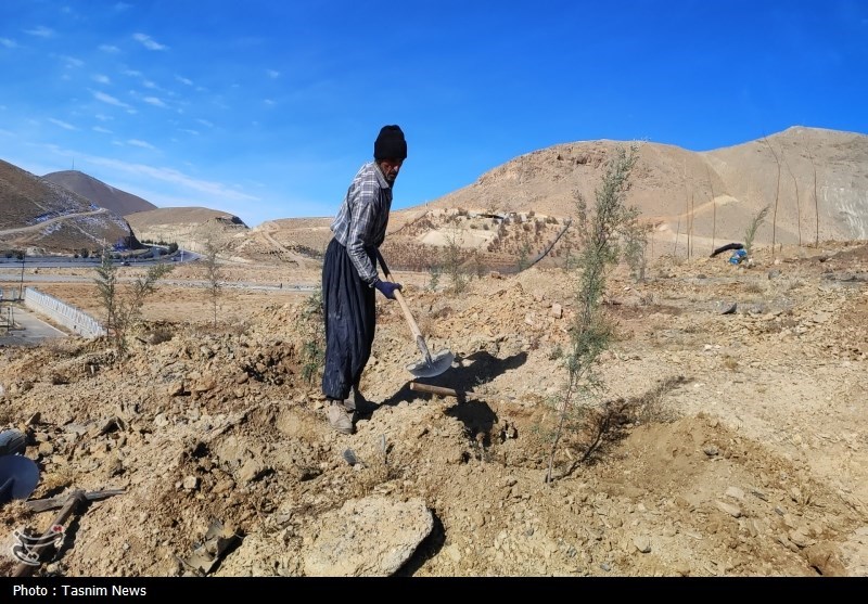 درخت‌کاری انبوه در شهرکرد آغاز شد + تصاویر