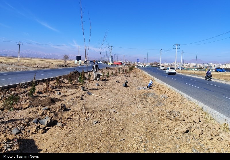 درخت‌کاری انبوه در شهرکرد آغاز شد + تصاویر