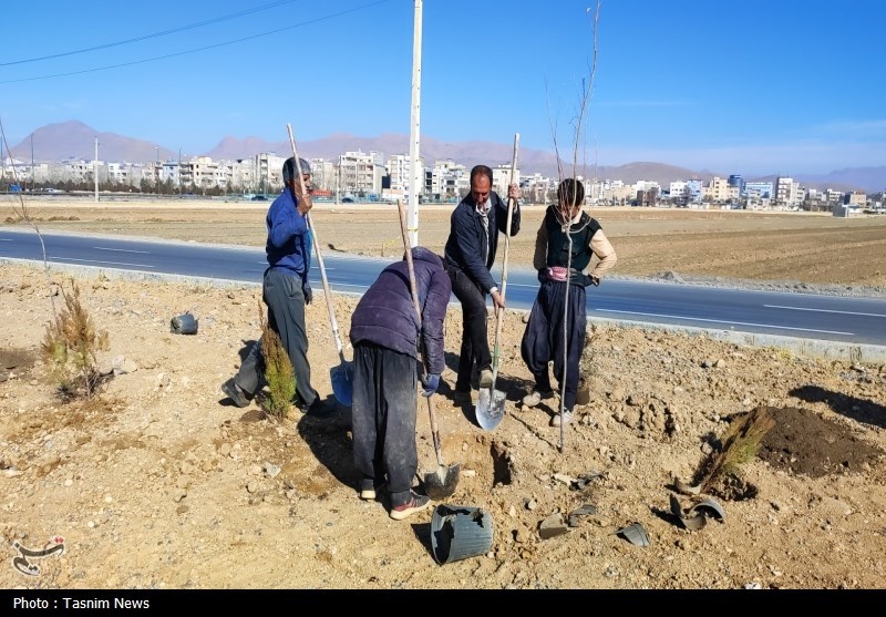 درخت‌کاری انبوه در شهرکرد آغاز شد + تصاویر