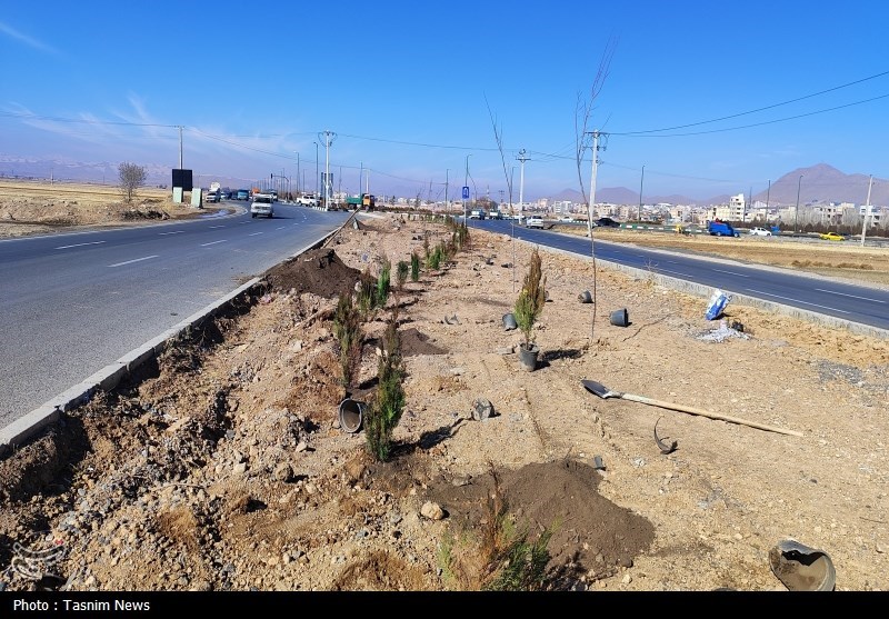 درخت‌کاری انبوه در شهرکرد آغاز شد + تصاویر