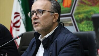 دولت اعتبار خرید کشمش تیزاب را تامین کرد