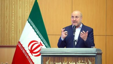 رئیس مجلس درباره اقدامات مجلس برای کنترل بازار ارز چه گفت؟