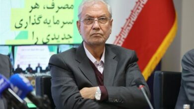 ربیعی: در برهه‌ای حساس هستیم/ باید گفت‌وگوی همه‌جانبه کنیم