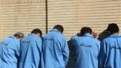 سارقان مأمورنما در نسیم شهر دستگیر شدند