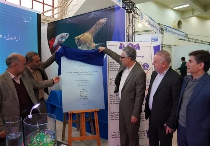 شیلات اردبیل نیازمند سرمایهگذاری است