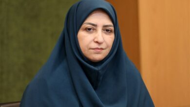 شینا انصاری: شواهد نشان از سیر قهقرایی جنگل‌های ایران دارد