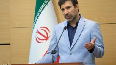 طحان‌نظیف: اساسنامه صندوق توسعه شبکه فیبر نوری تایید شد