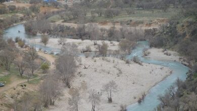 طرح ساحل‌سازی رودخانه بشار برنامه‌ریزی شود