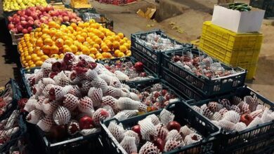 طرح نظارتی بر بازار شب یلدا در خراسان جنوبی آغاز شد