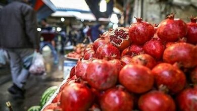 طرح ویژه نظارتی شب یلدا در خراسان شمالی انجام می‌شود