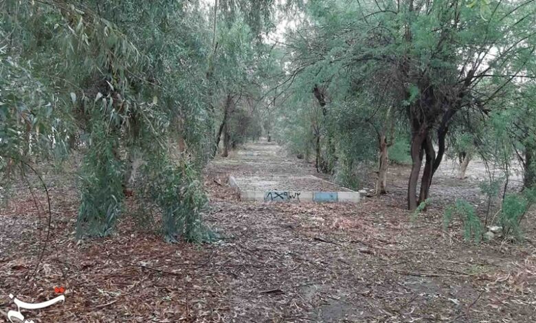 طرحی و اجرای پارک جنگلی 50 هکتاری زاهدان