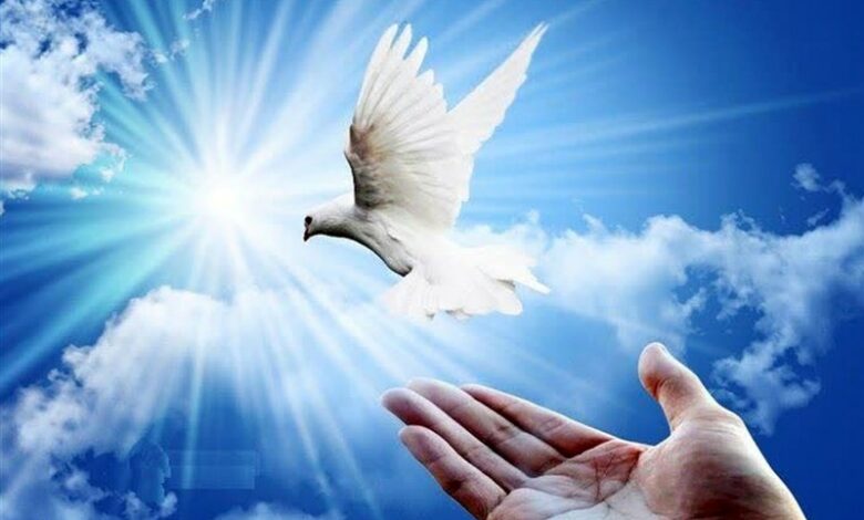 طعم خوش یلدا برای زندانی کردستانی