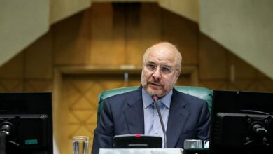 قالیباف: جلسه مشترک امروز مجلس و دولت کم‌نظیر بود