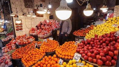 قمی‌ها میوه شب یلدا را از کجا بخرند؟