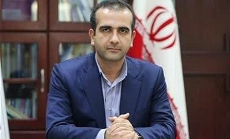مدیرعامل سازمان منطقه آزادانزلی منصوب شد