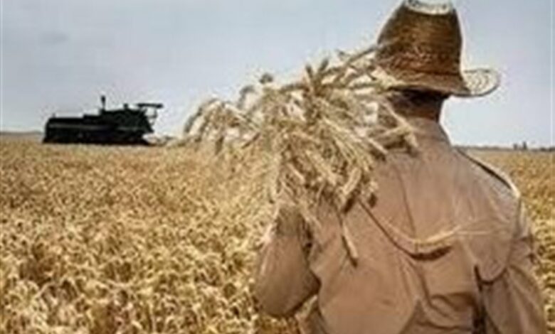 مشارکت 130 هزار بهره‌بردار اردبیلی در جهش تولید دیمزارها