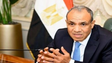 مصر: جامعه بین‌الملل برای توقف تجاوزات تل‌آویو در سوریه وارد عمل شود
