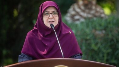 مهاجرانی: دولت جلوی رانت ارزی 700 همتی را گرفت