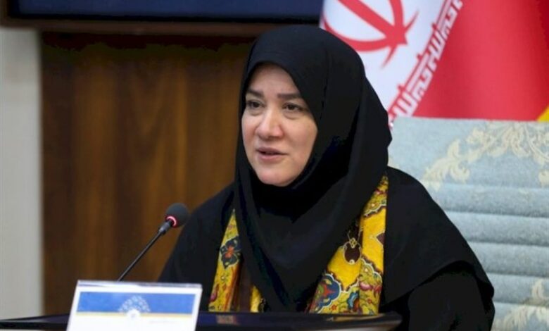 نساجی سنتی با برند کاشان صادر شود