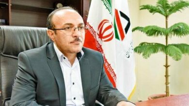 واریز ۲۴۲ همت به خزانه/ گمرک سومین منبع درآمد دولت