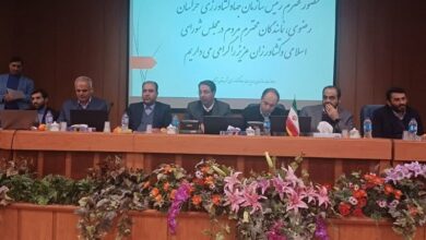وزیر جهاد: واردات گوشت به حداقل خواهد رسید