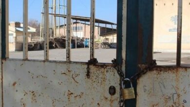 چرایی عدم پرداخت حقوق کارگران برخی کارخانجات سیرجان