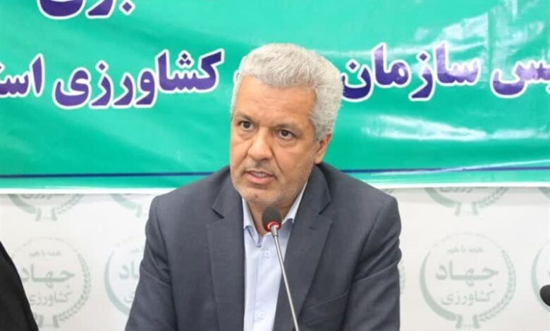 چغندرکاران نهاوند بیش از حد تعیین شده کشت کردند