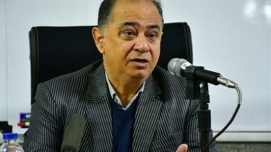 کشت گندم در 446 شهرستان/ 6 میلیون هکتار زیر کشت رفت