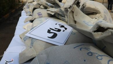 کشف 750 کیلو مواد مخدر در مهریز یزد