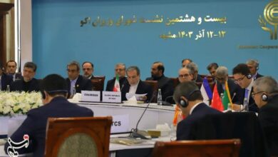 کشورهای عضو سند دورنمای 2025 اکو را تصویب کنند