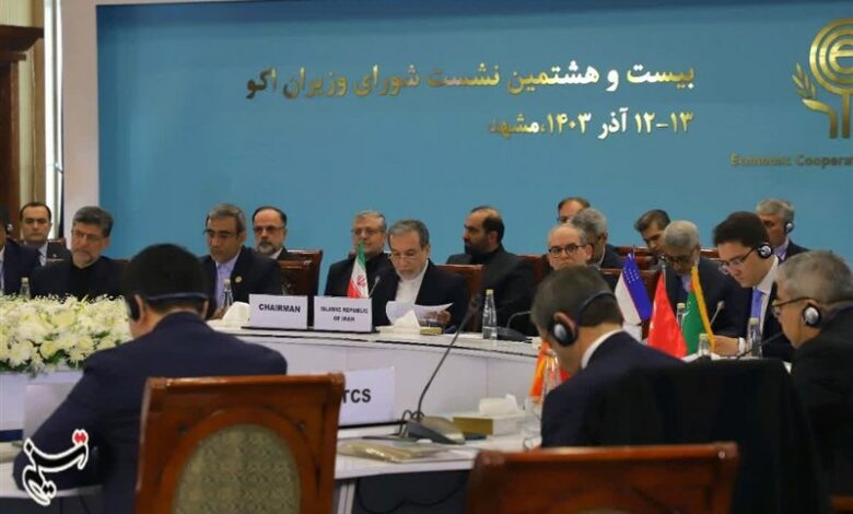 کشورهای عضو سند دورنمای 2025 اکو را تصویب کنند