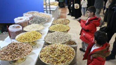 گزارش تسنیم از نمایشگاه توانمندی‌های روستایی در پاکدشت