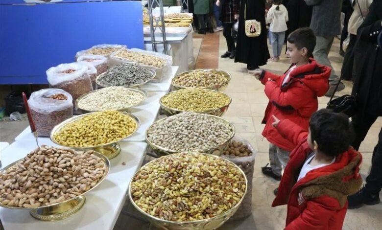 گزارش تسنیم از نمایشگاه توانمندی‌های روستایی در پاکدشت