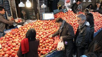 گشت‌های بازرسی شب یلدا از 20 آذرماه تشدید می‌شود