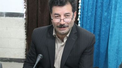 یک کردستانی سرپرست پژوهشگاه میراث‌فرهنگی ایران شد