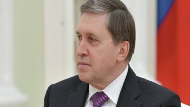 ۹ کشور آمادگی خود را برای عضویت در «بریکس» اعلام کردند