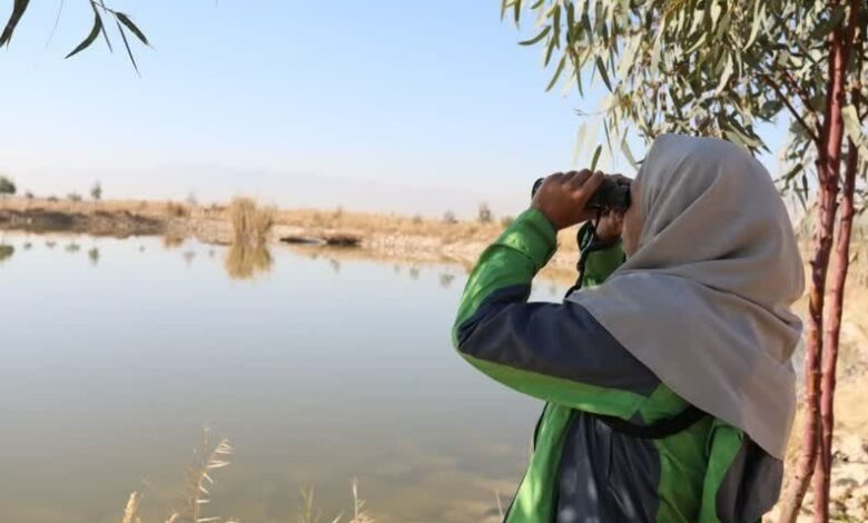 آغاز سرشماری نیمه زمستانه پرندگان آبزی و کنار آبزی در فارس