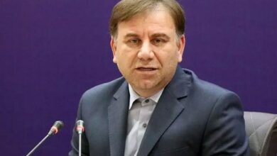 استاندار بوشهر: ‌برای ‌حل مشکلات عزم راسخ و جدی داریم