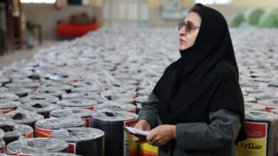 افتتاح 16 پروژه در صنایع مازندران در دهه فجر