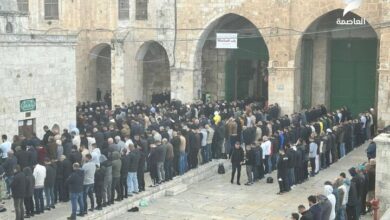 اقامه نماز میت غیابی برای شهید «محمد ضیف» در شهرهای فلسطین و منطقه