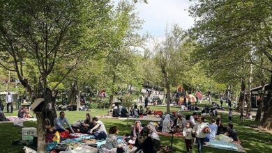 اما و اگرهای ماجرای دیوارکشی پارک‌های کرج