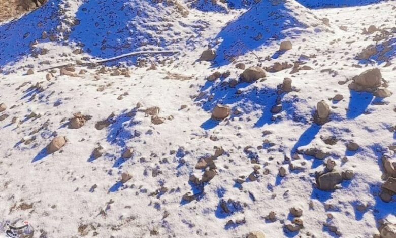 اواخر هفته کردستان برف و بارانی می‌شود