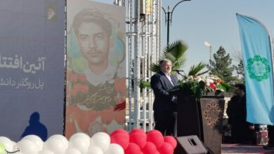 با صنایع آلاینده استان تهران برخورد قانونی می‌شود